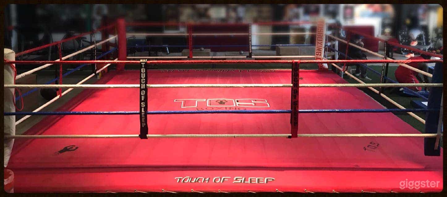 The Boxing Champion Gym Photo 2