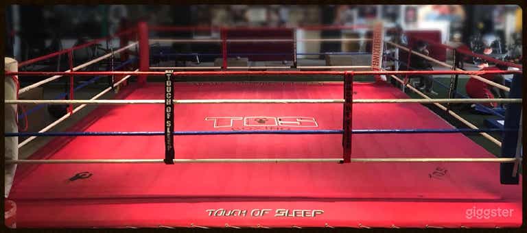  El Gimnasio del Campeón de Boxeo 