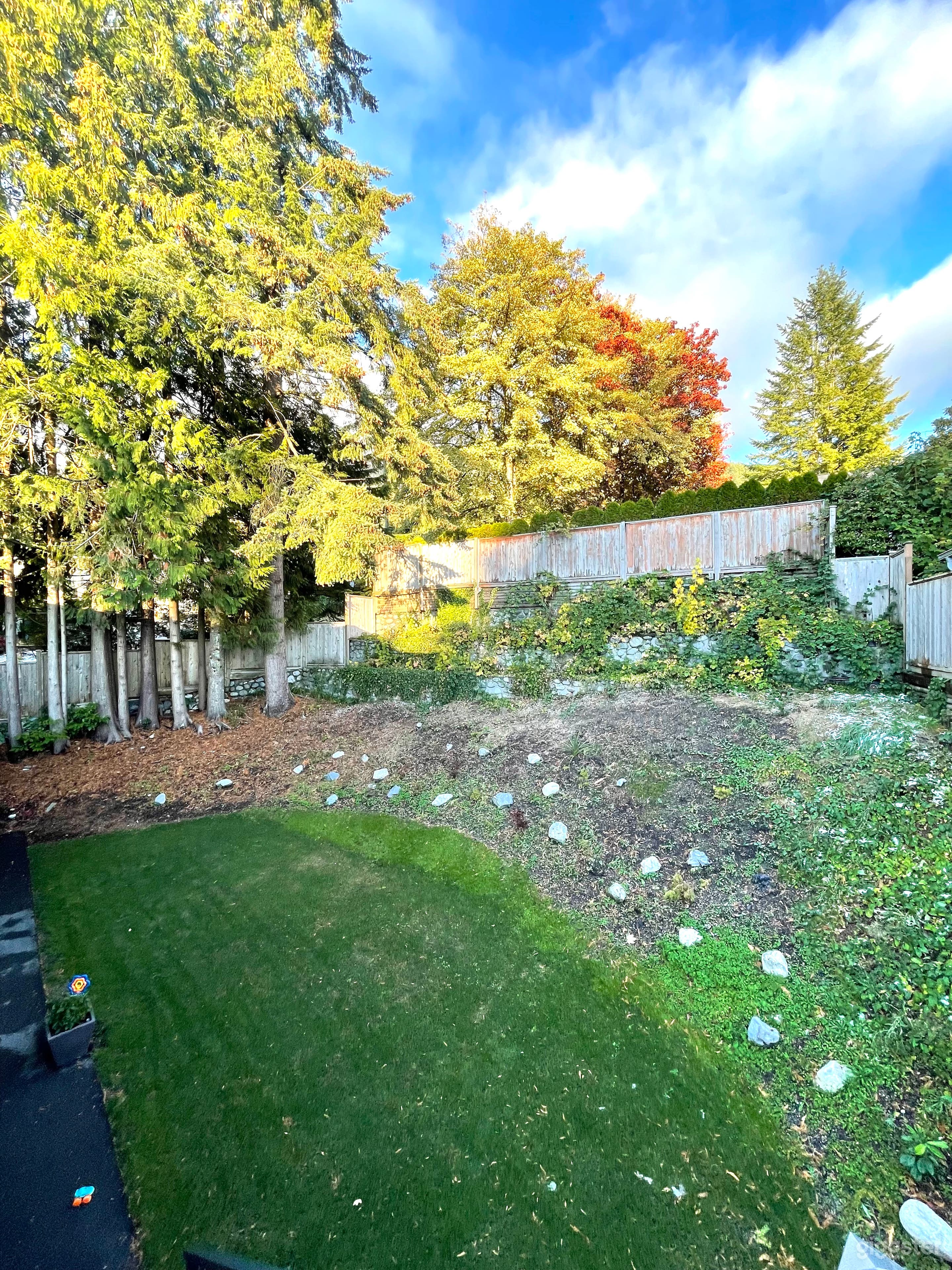 Natural Westcoast Backyard