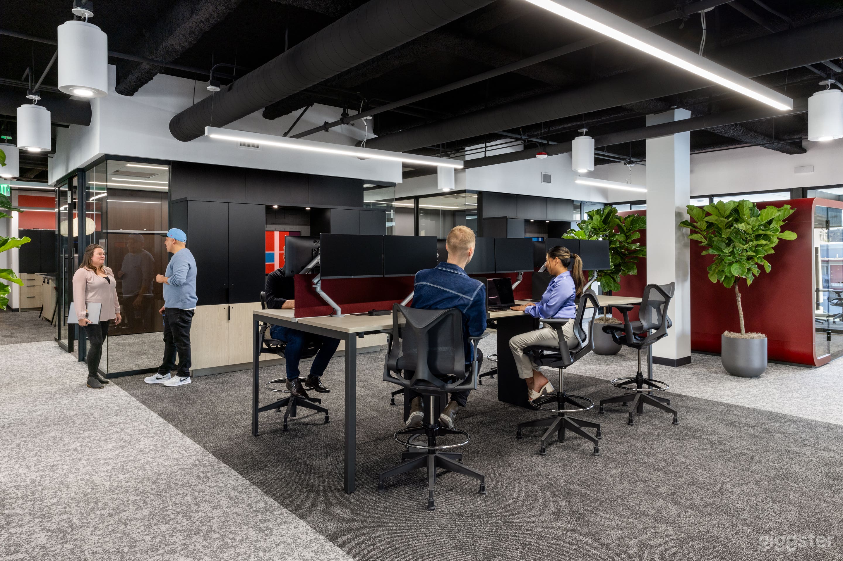 Shared Co-Working space