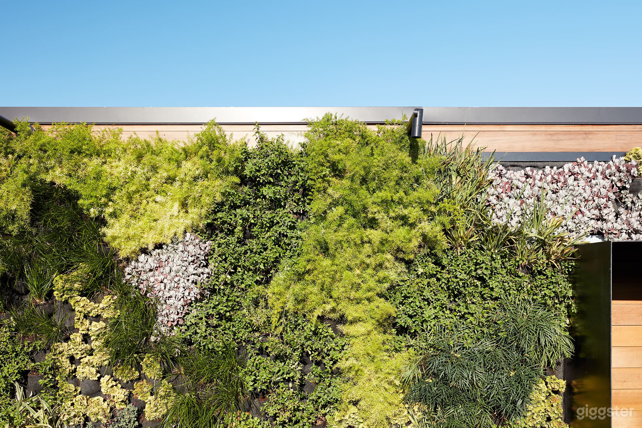 Four One Nine Photo 4