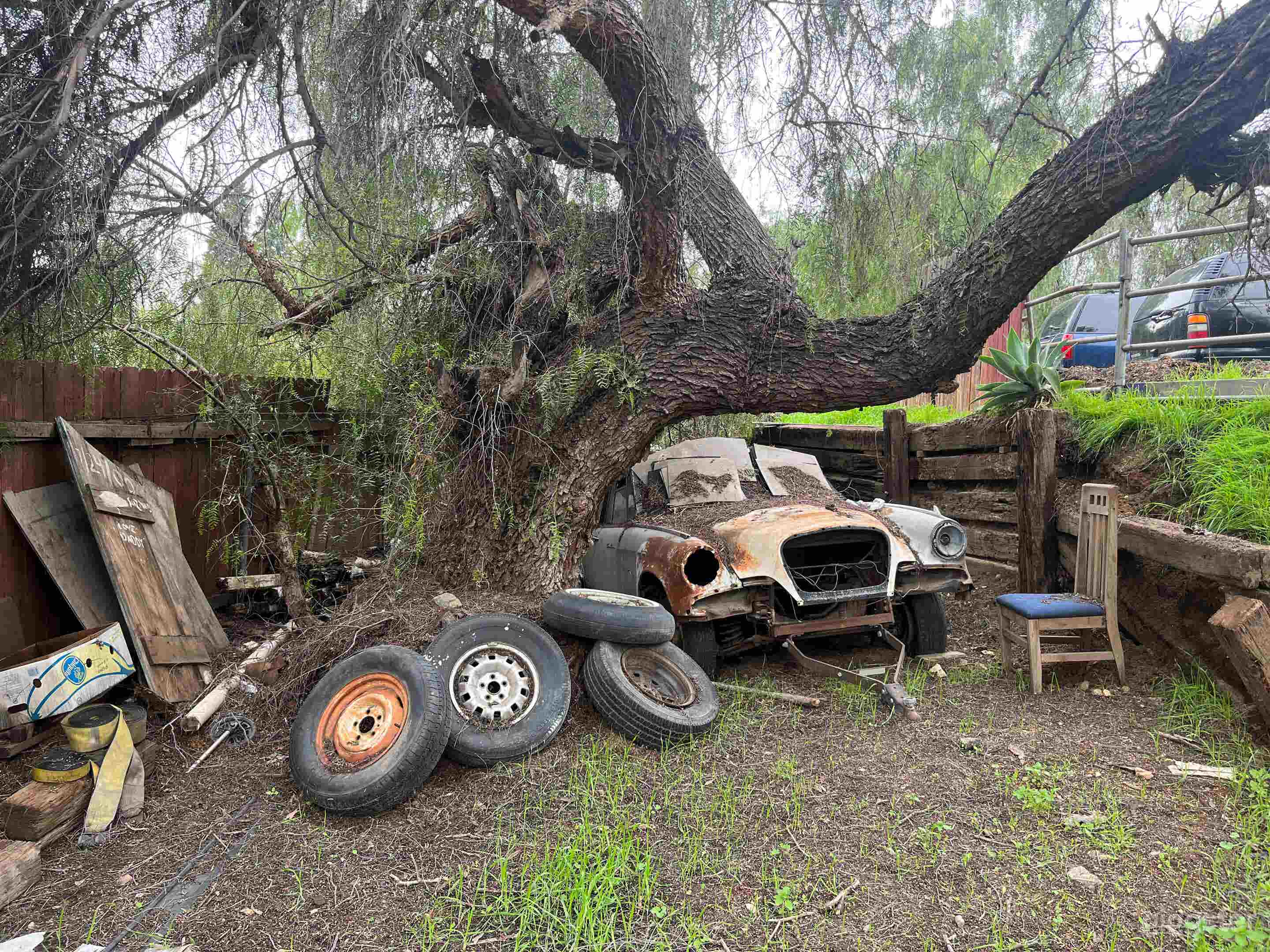 Horse Ranch w/ Dinosaur, Chicken Coop + Many Looks Photo 4