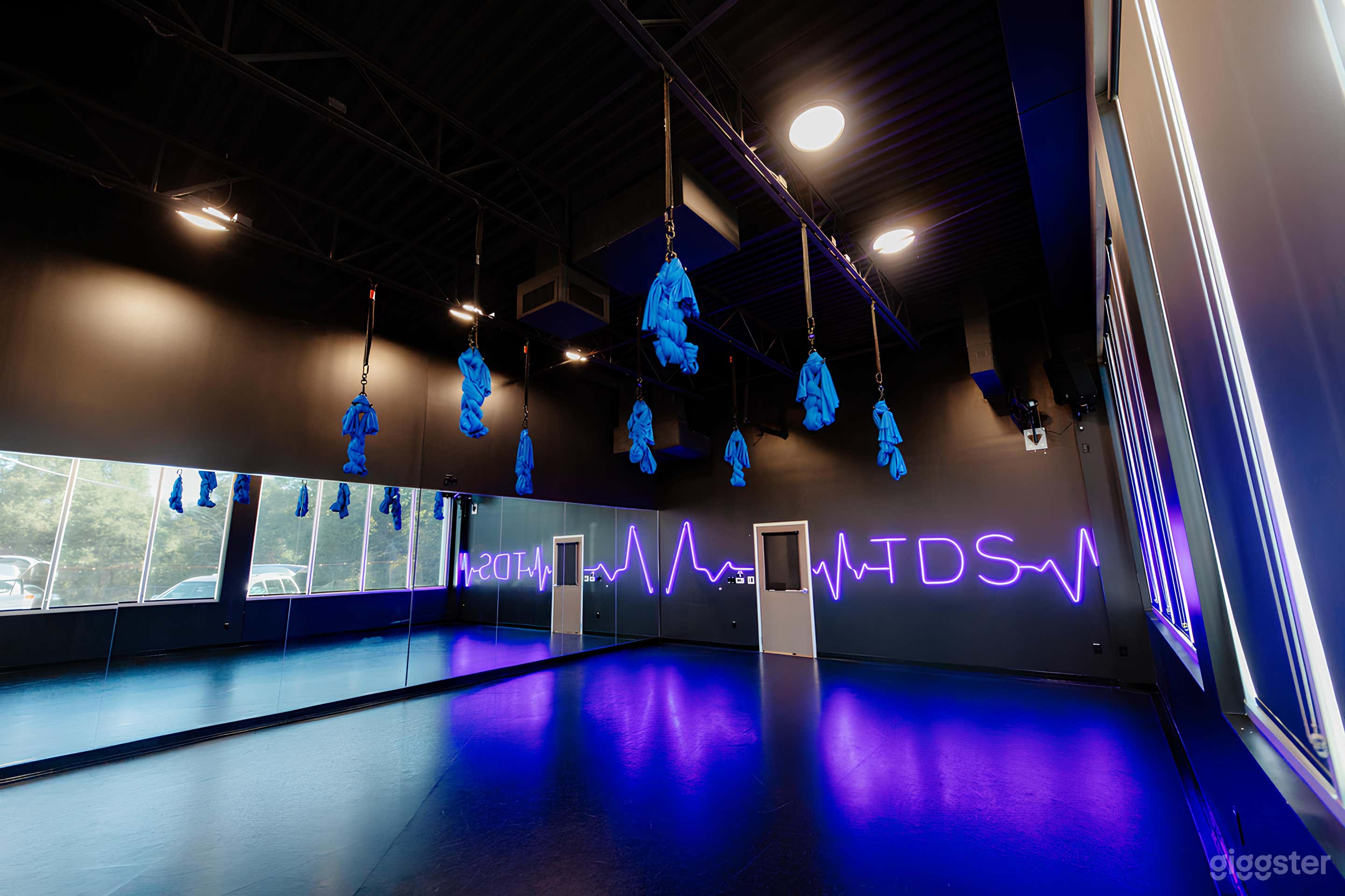 Dance Studio 2 - Dark Walls - Neon Sign Photo 1