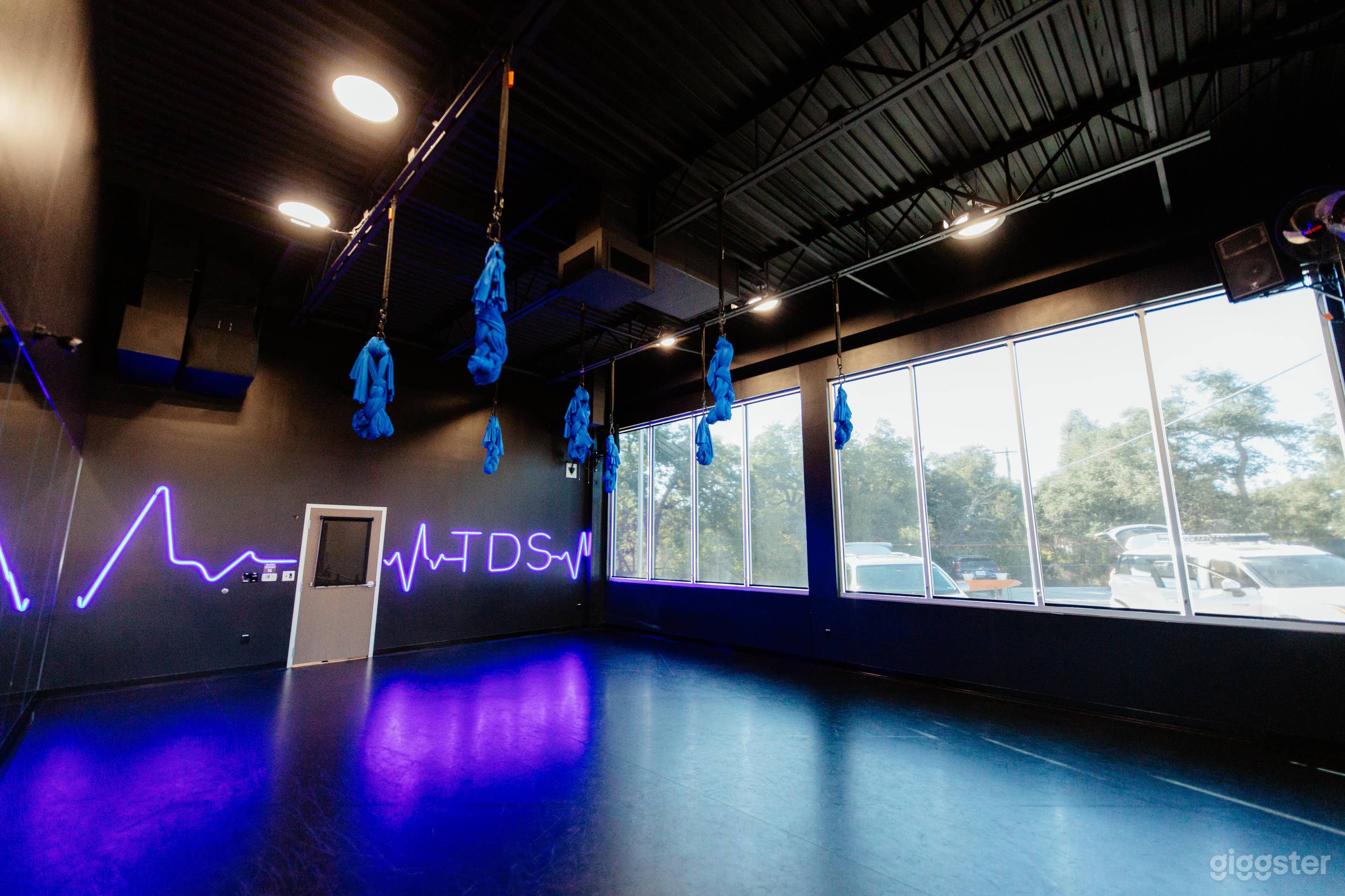 Dance Studio 2 - Dark Walls - Neon Sign Photo 2