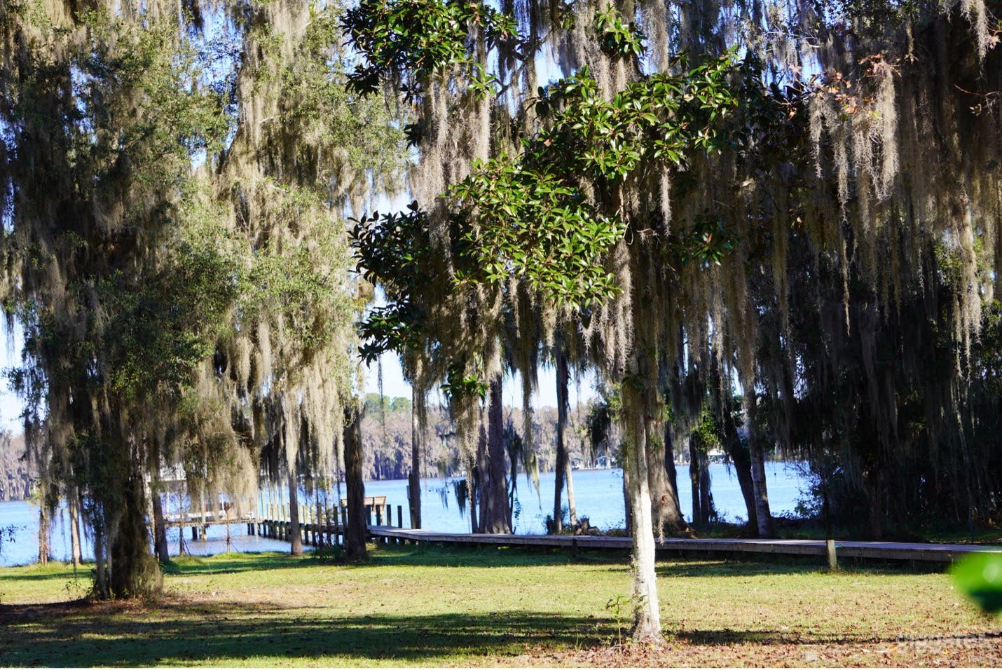 Ocala National Forest River Property  Photo 4