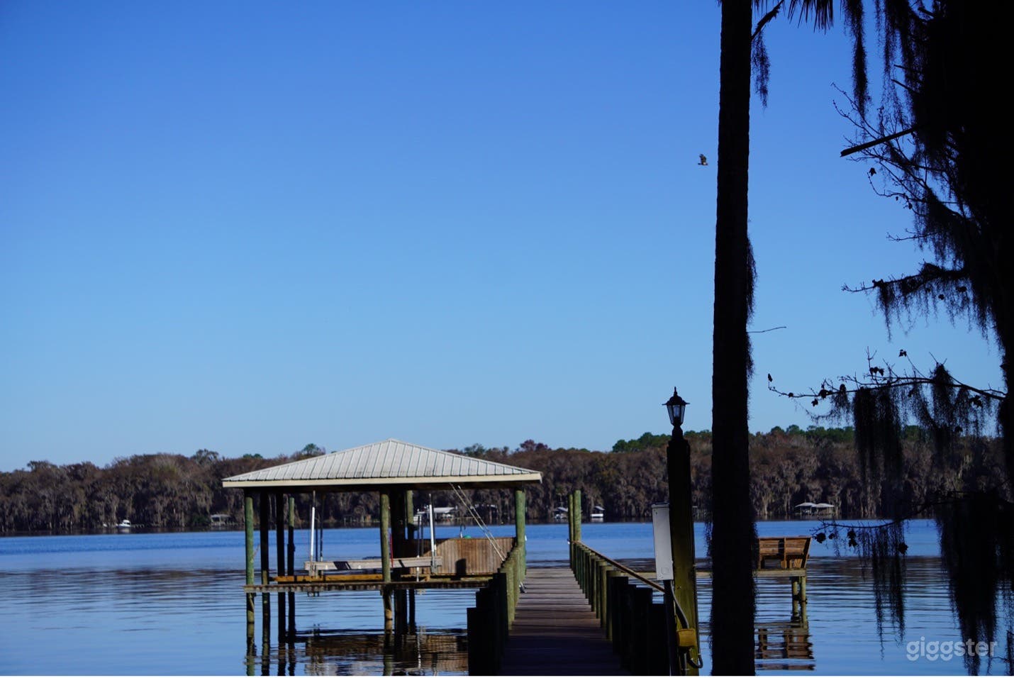 Ocala National Forest River Property  Photo 3