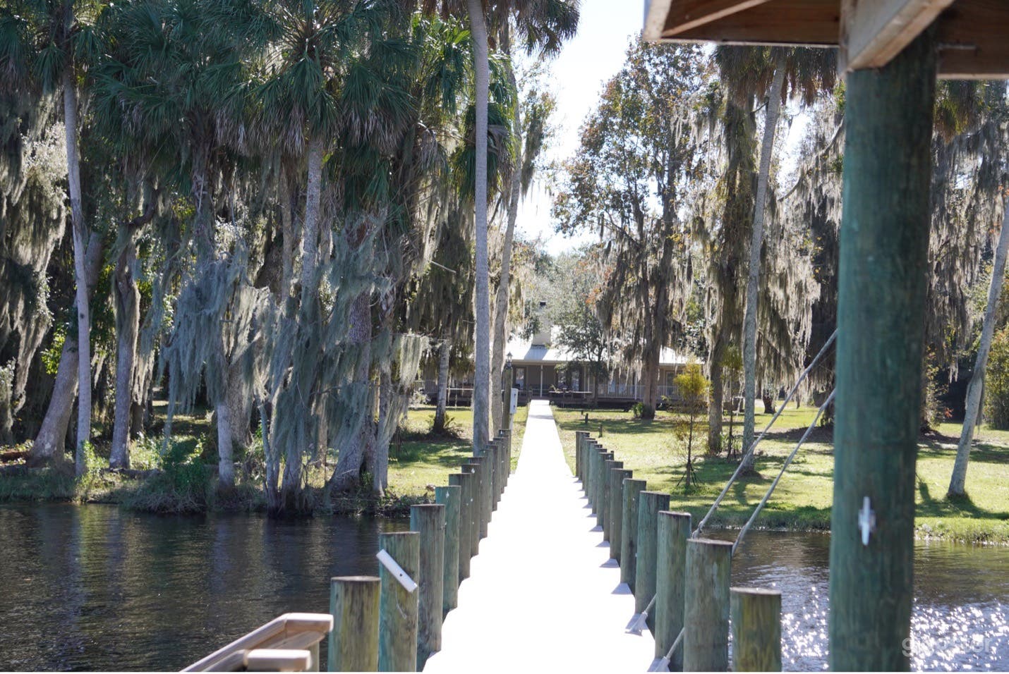 Ocala National Forest River Property  Photo 2