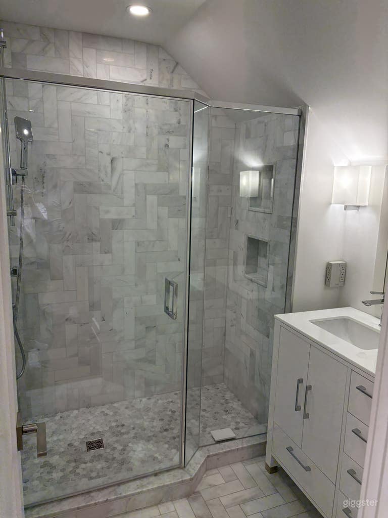  Modern Luxe High Park Home 