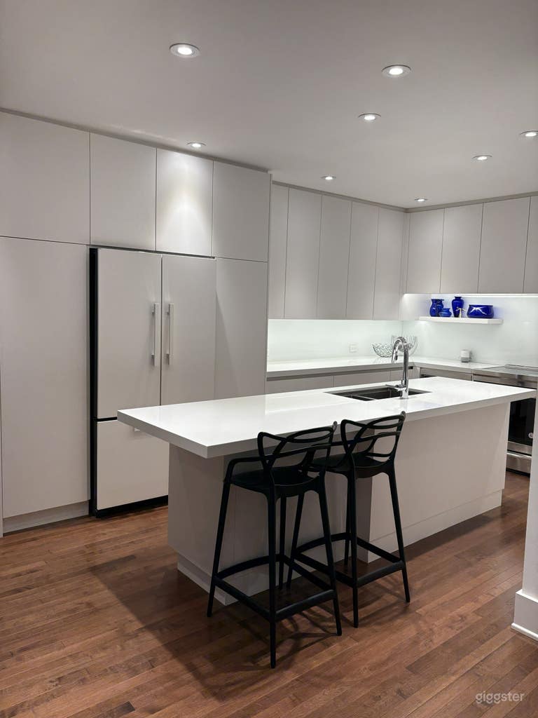  Modern Luxe High Park Home 