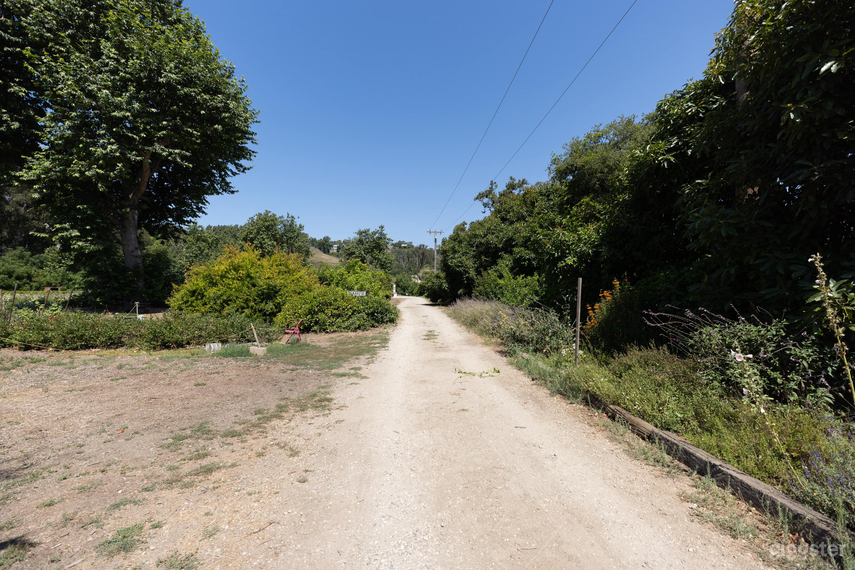 Boutique Organic Farm In The Heart Of Malibu Photo 3