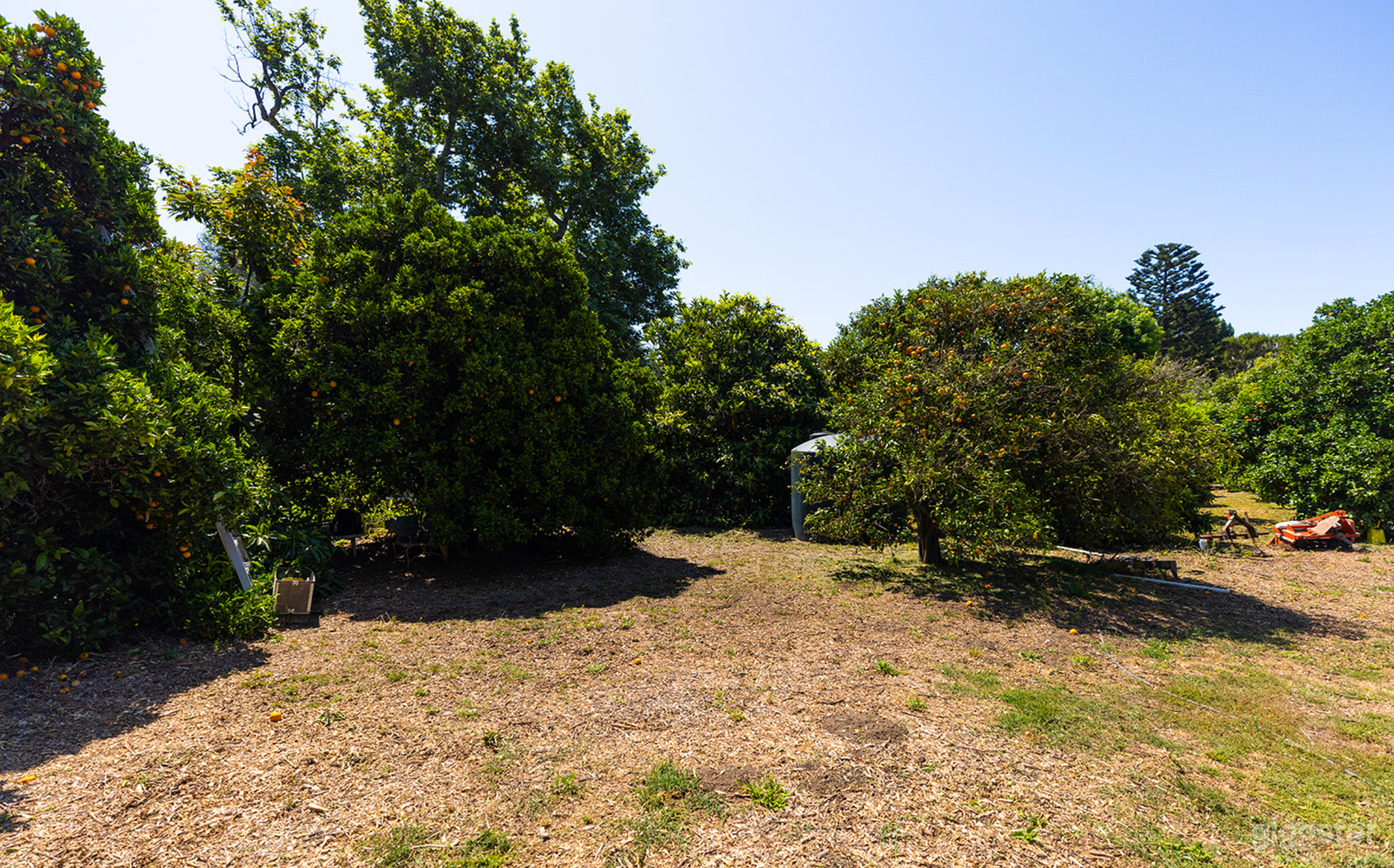 Boutique Organic Farm In The Heart Of Malibu Photo 4