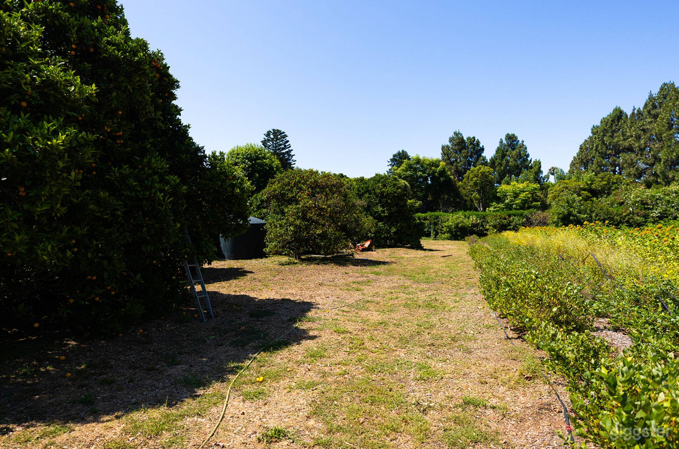 Boutique Organic Farm In The Heart Of Malibu Photo 2