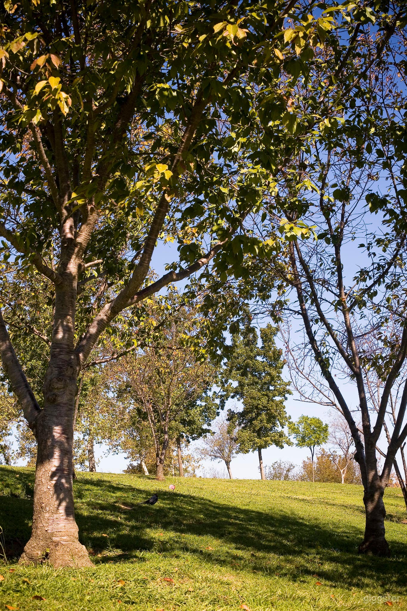 Anthony C. Beilenson Park Photo 2