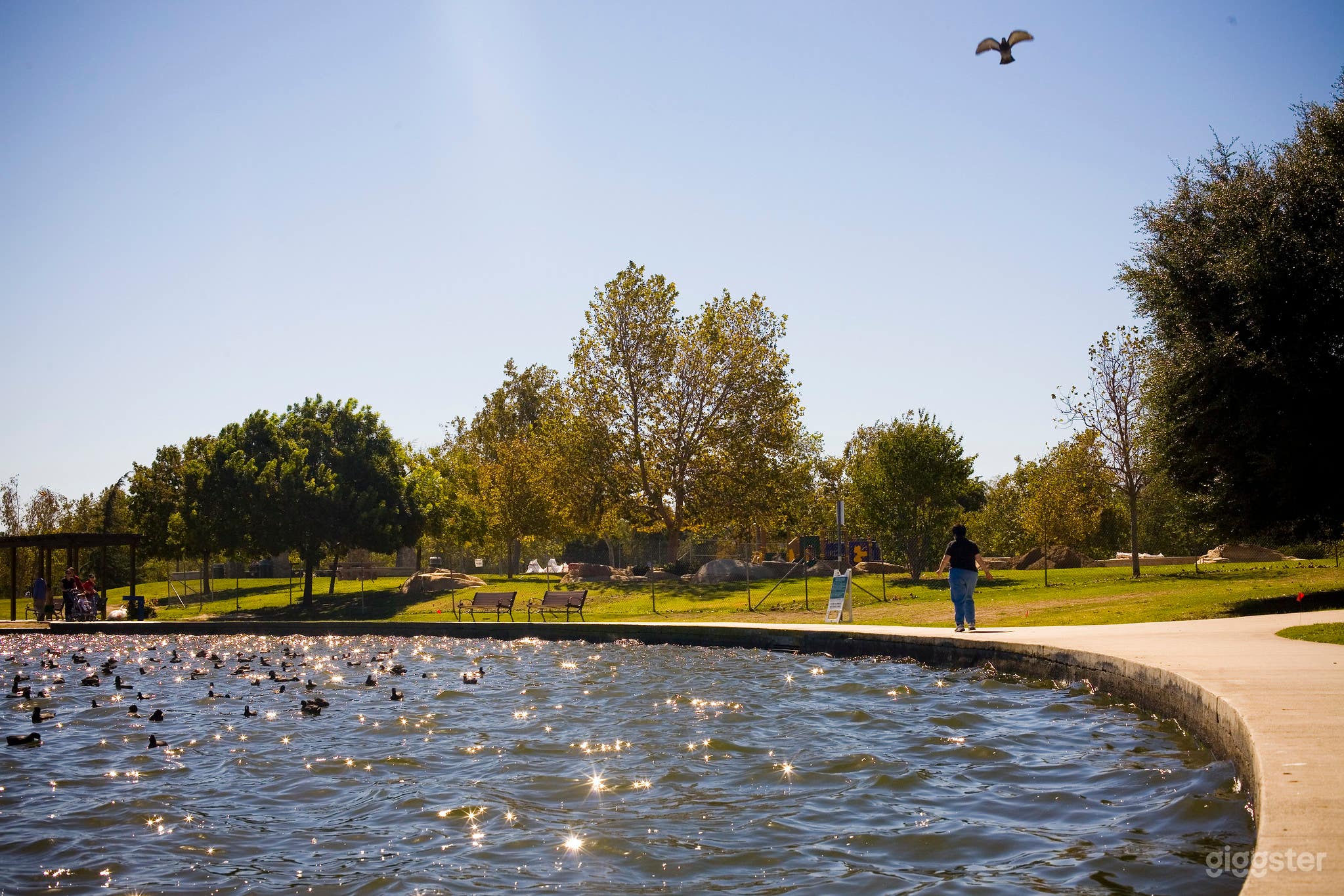 Anthony C. Beilenson Park Photo 3