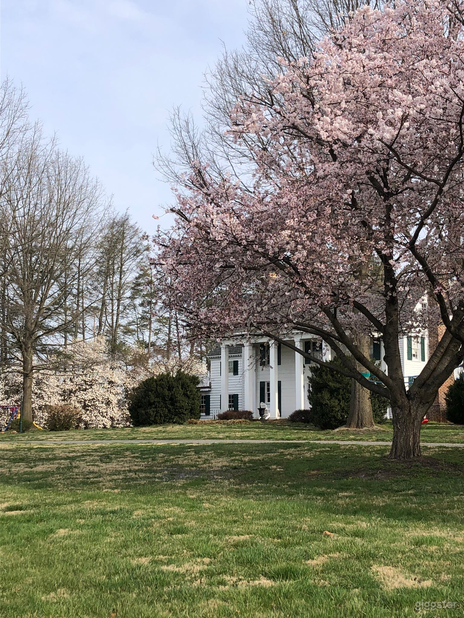 Drayton Manor Photo 1