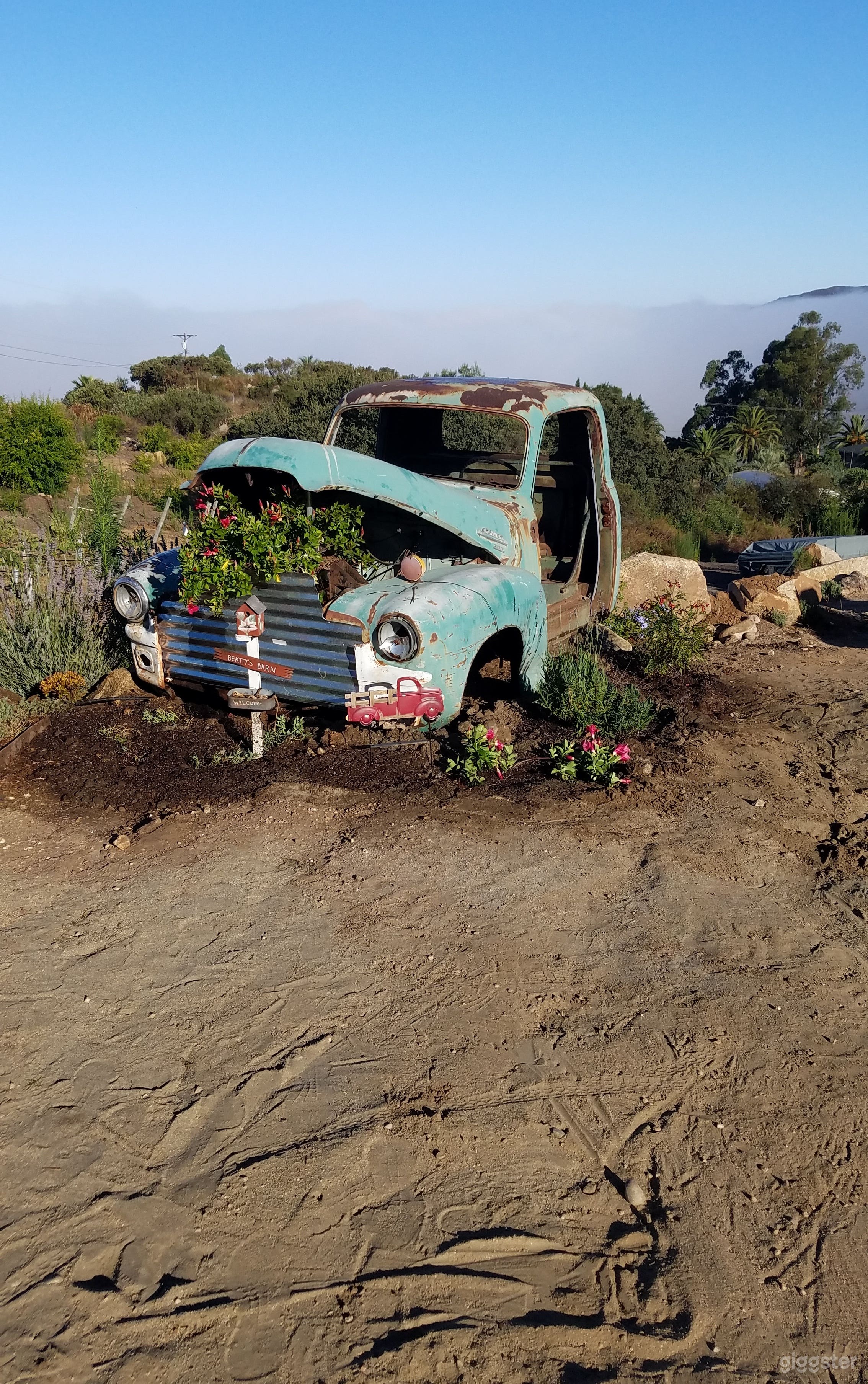 Winery and Vineyard Photo 2