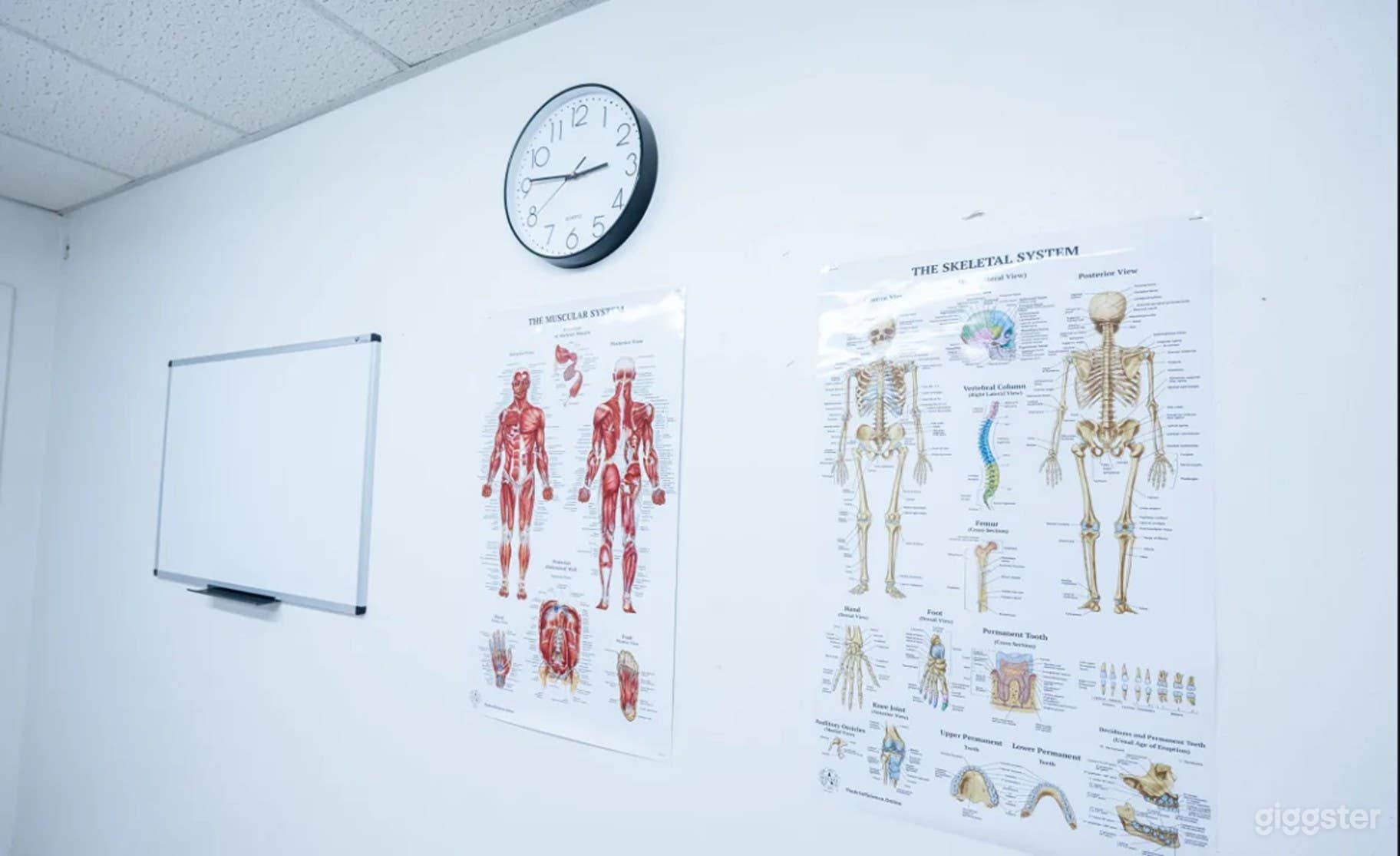 Hospital Room Film Studio Photo 4