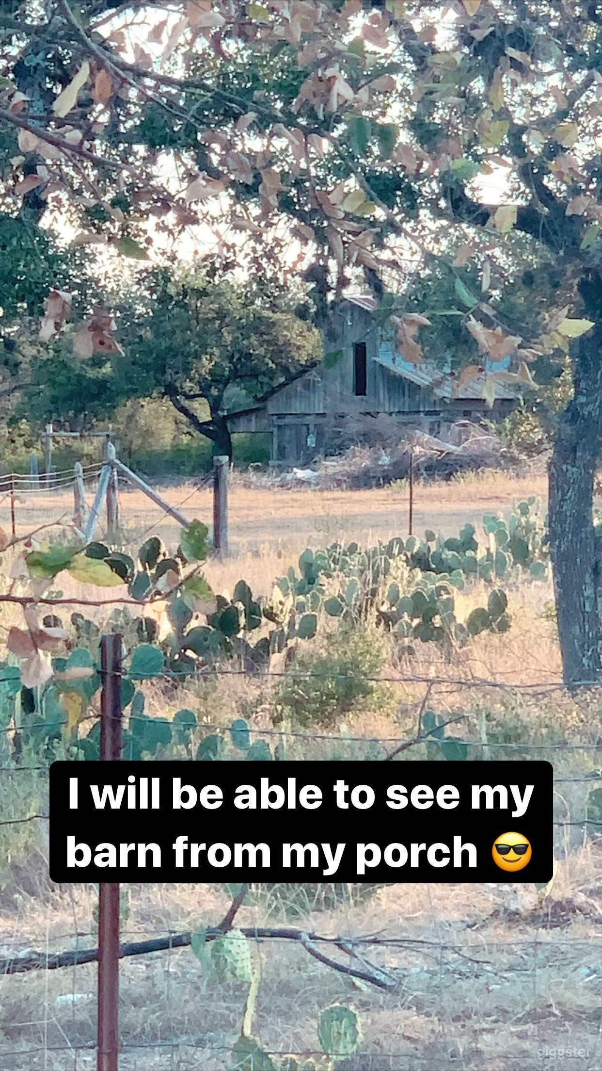 Country Barn 2 miles from the city Photo 2