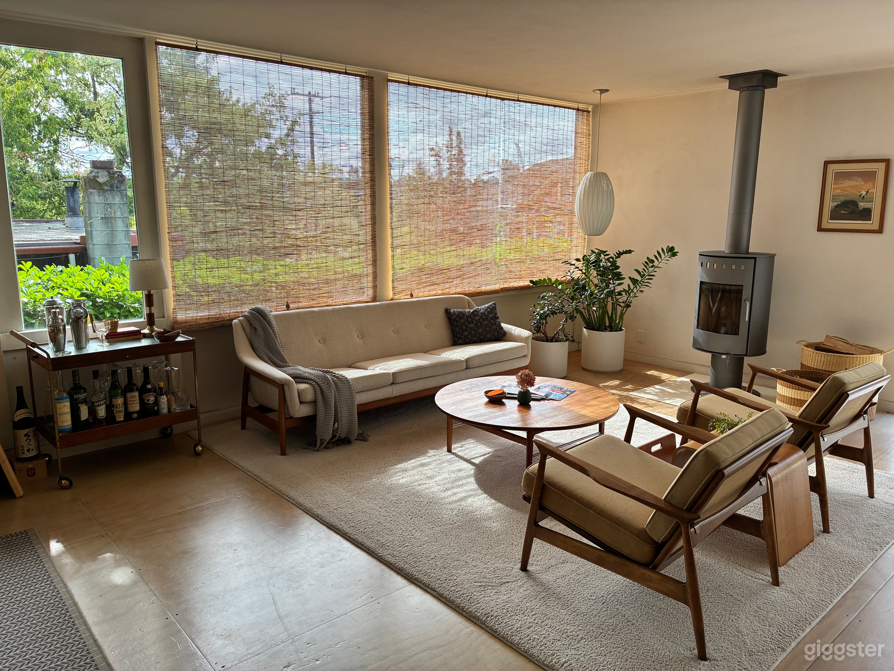 Mid-century modern with a twist Photo 3