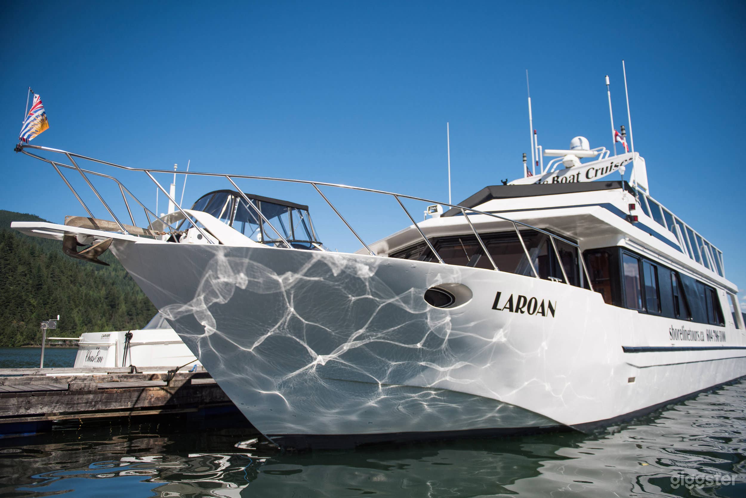THE LAROAN - BOAT EQUIPPED WITH MODERN AMENITIES Photo 1