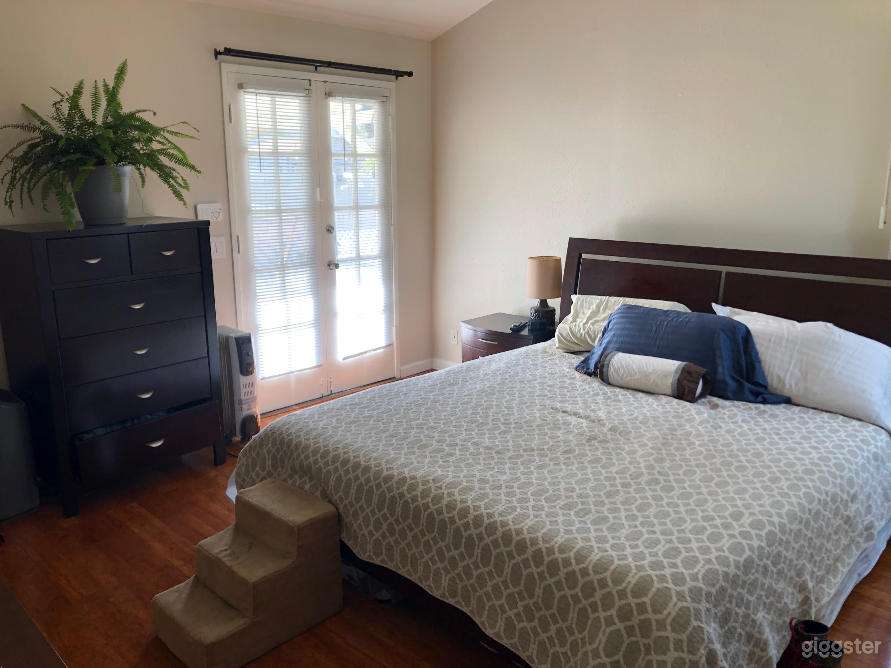 Master Bedroom looking at French Doors