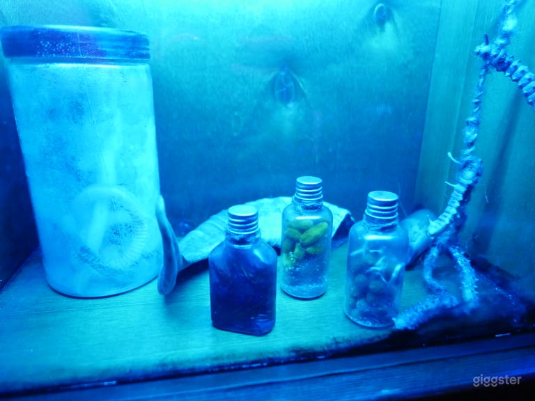  Witch Cabin in the woods  