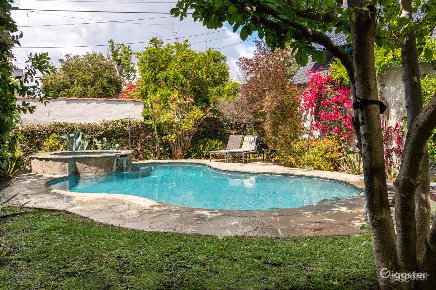 Tropical salt water pool in south Pasadena! Photo 3