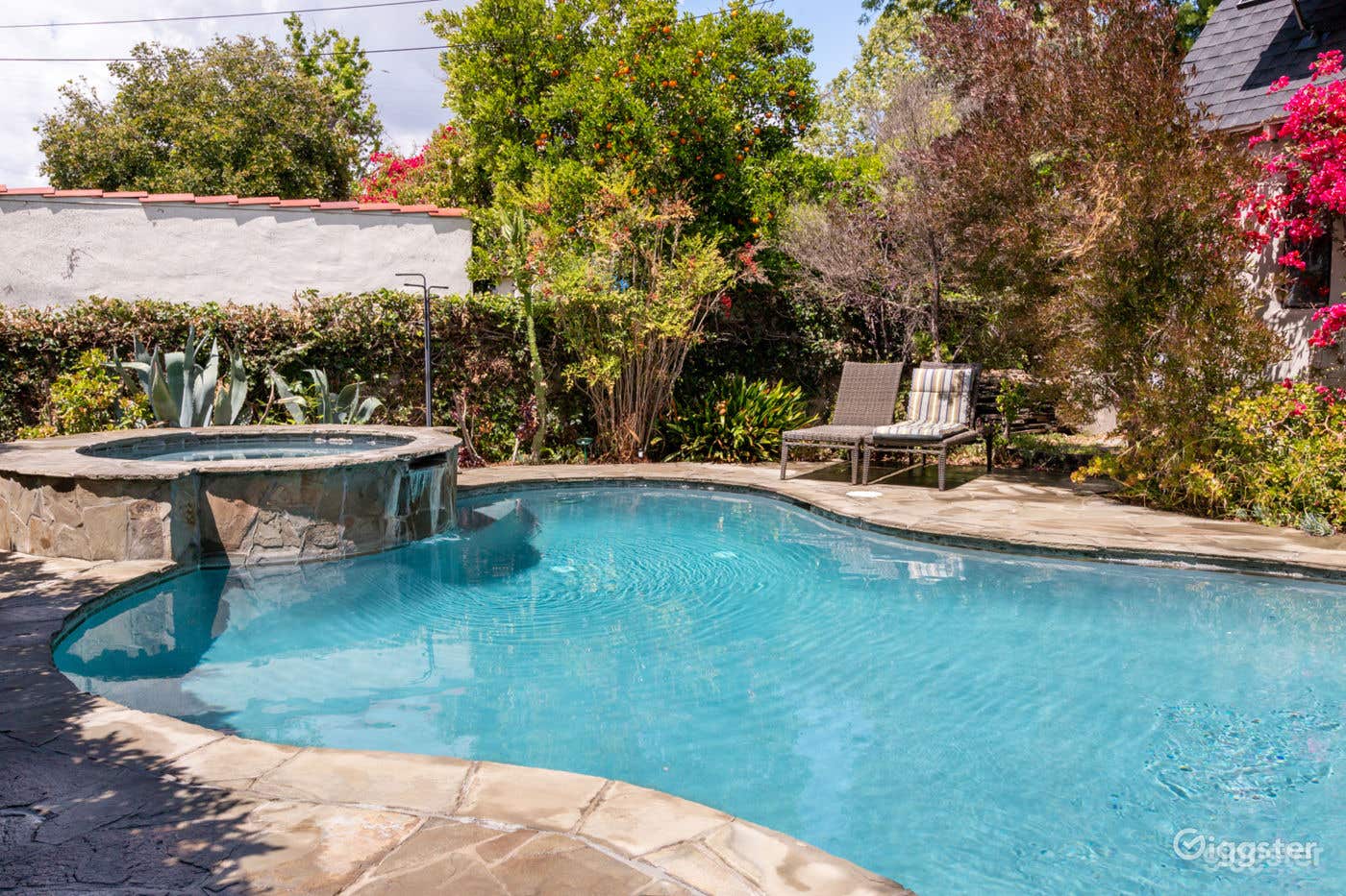 Tropical salt water pool in south Pasadena! Photo 1