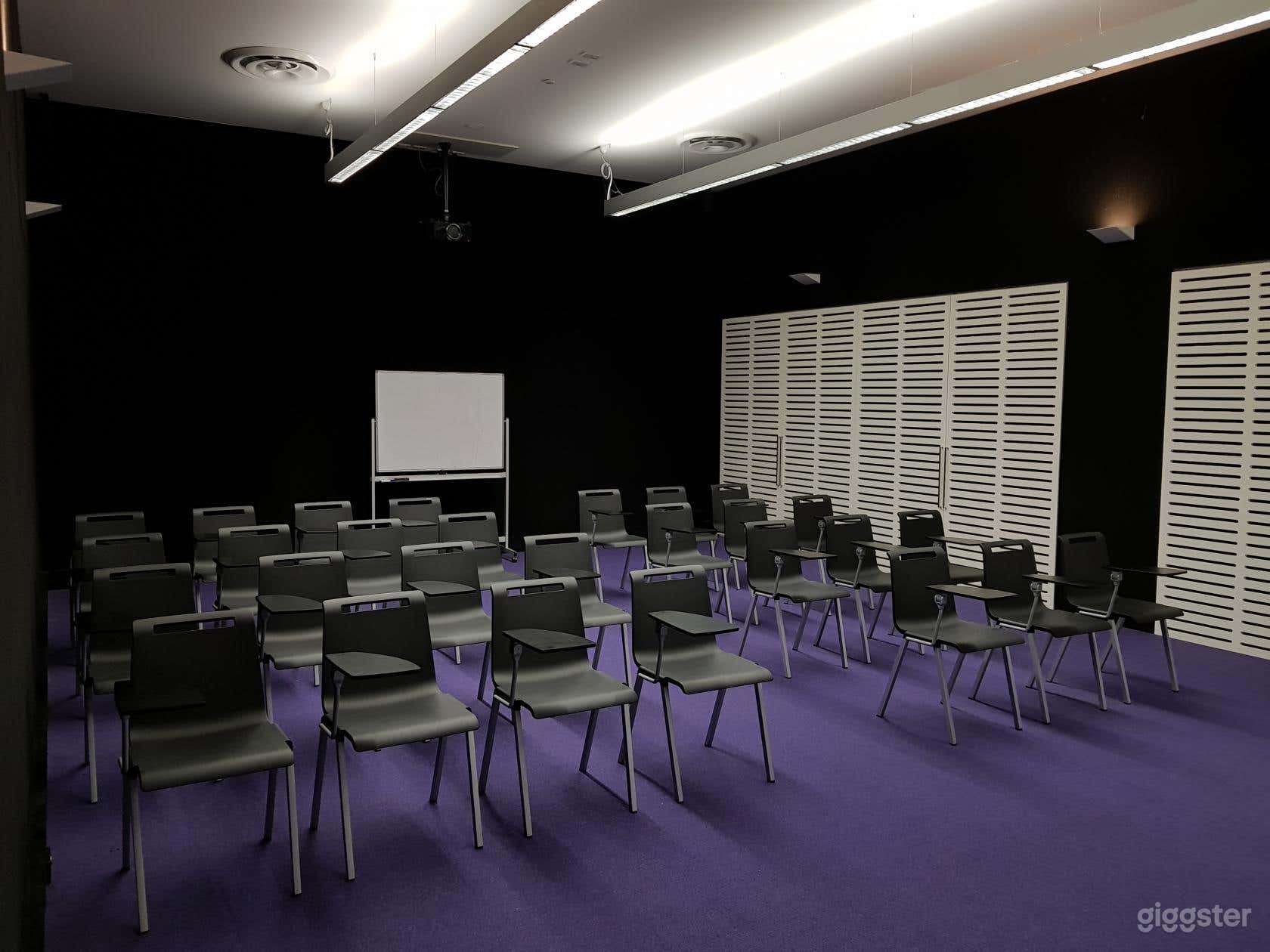 Screening Room Photo 3