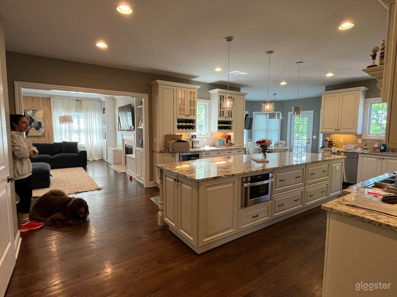 Large, film-friendly suburban home in Livingston Photo 4