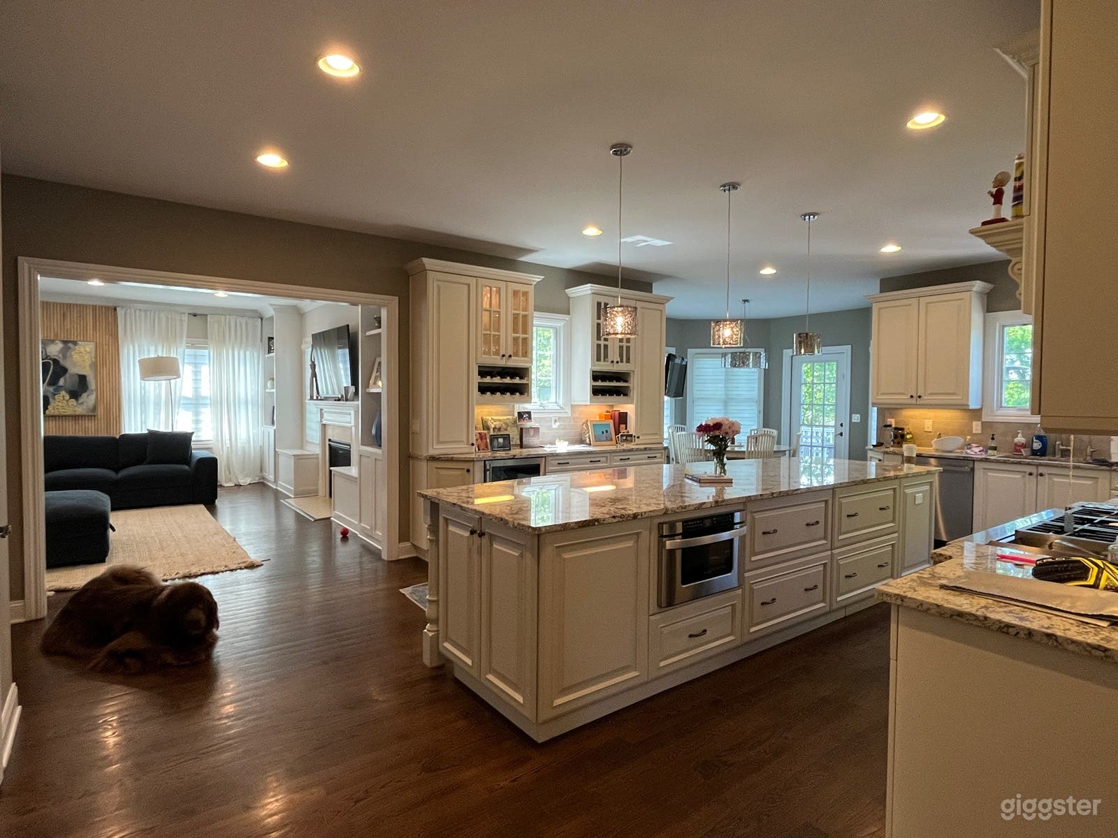 Large, film-friendly suburban home in Livingston Photo 3