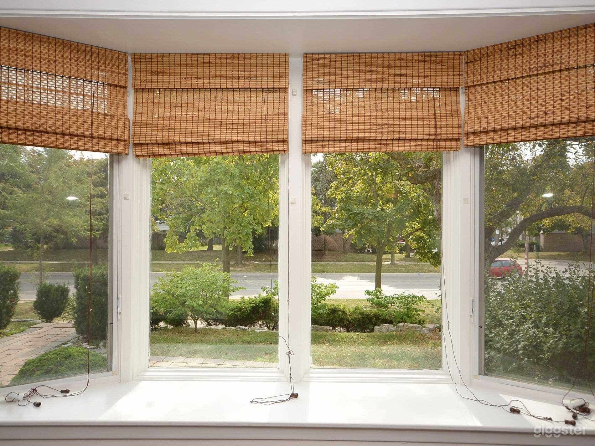 Mississauga near lakeshore Photo 4