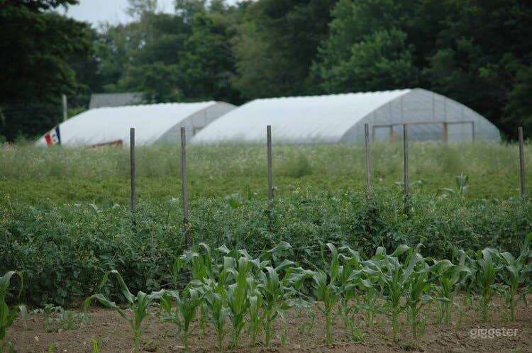 Charming Outdoor Wedding Venue on a 60-Acre Farm in Worthington  Photo 4
