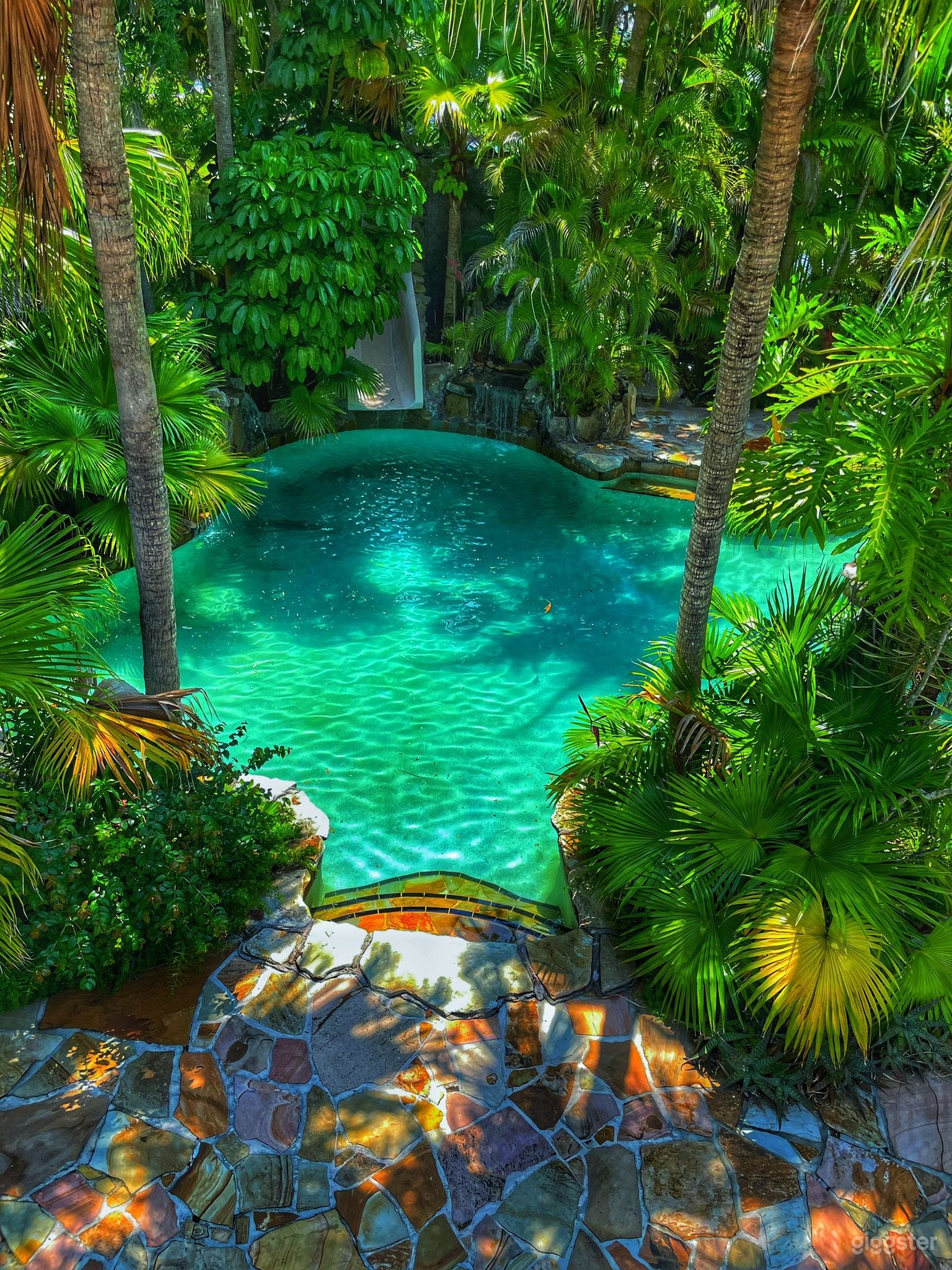 Secret Oasis Davie Photo 3