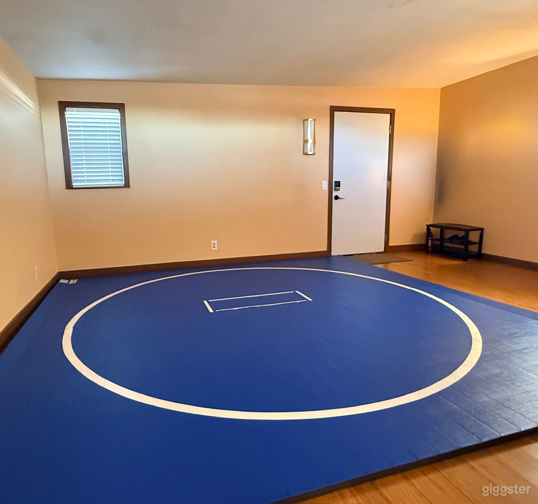 Wrestling / Martial Arts / Yoga Studio Photo 1