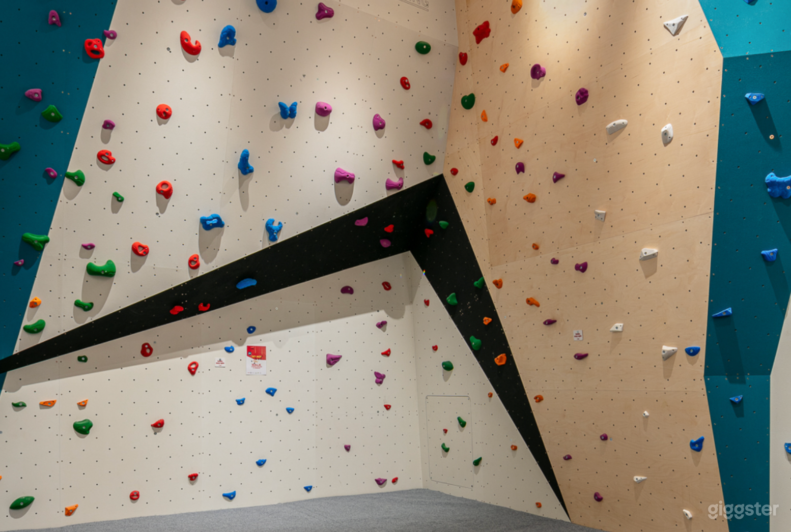 Gym with Modern Equipments Photo 3