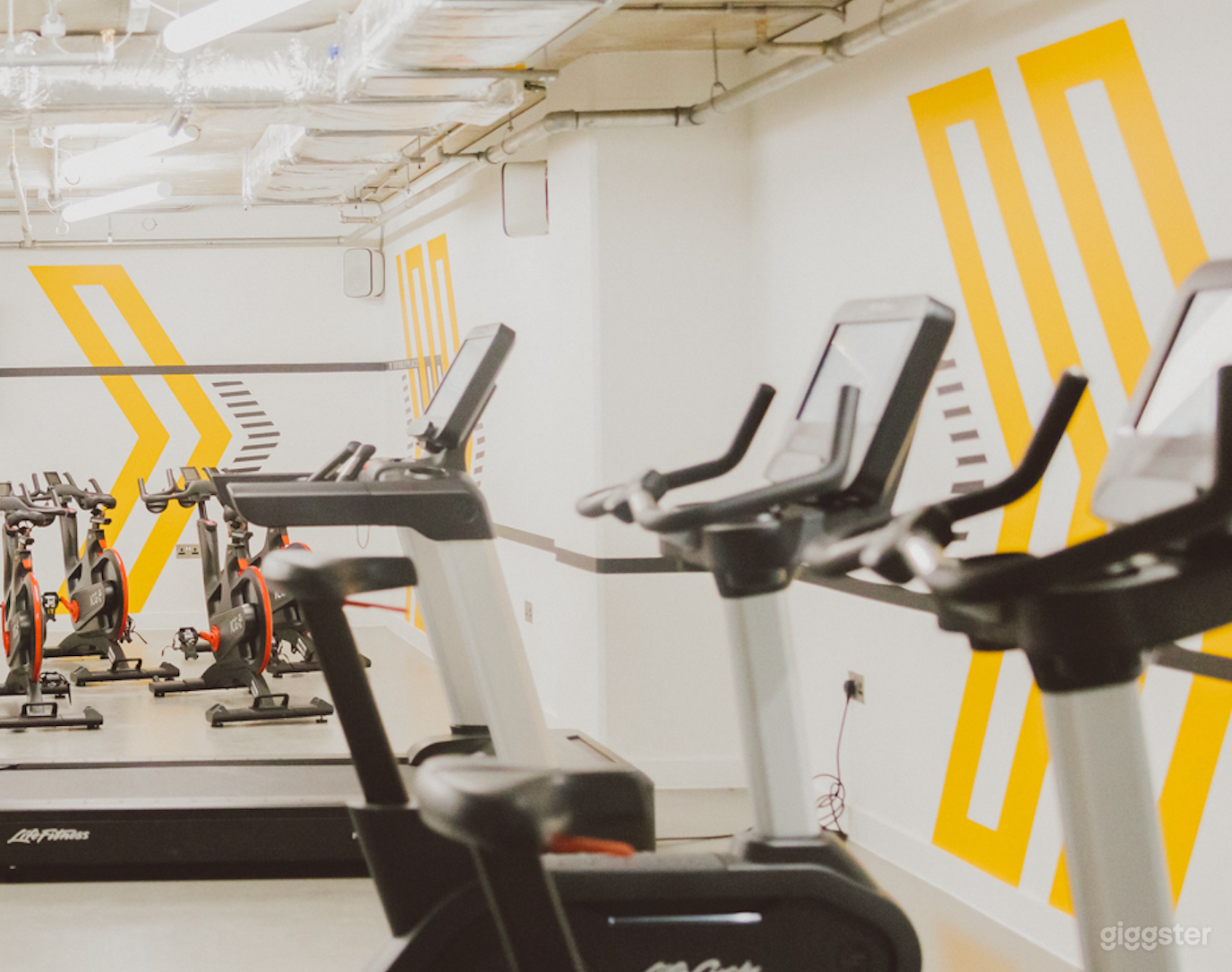 Gym with Modern Equipments Photo 1