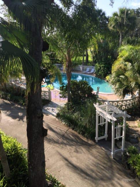   1948 Historic Olympic Heart Shape Swimming Pool  