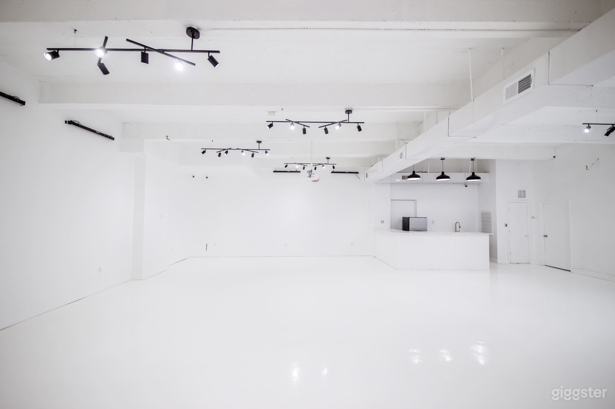 LIC Blank Canvas w/ Exposed Brick Entrance Photo 2