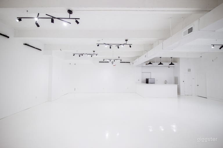  LIC Blank Canvas w/ Exposed Brick Entrance 