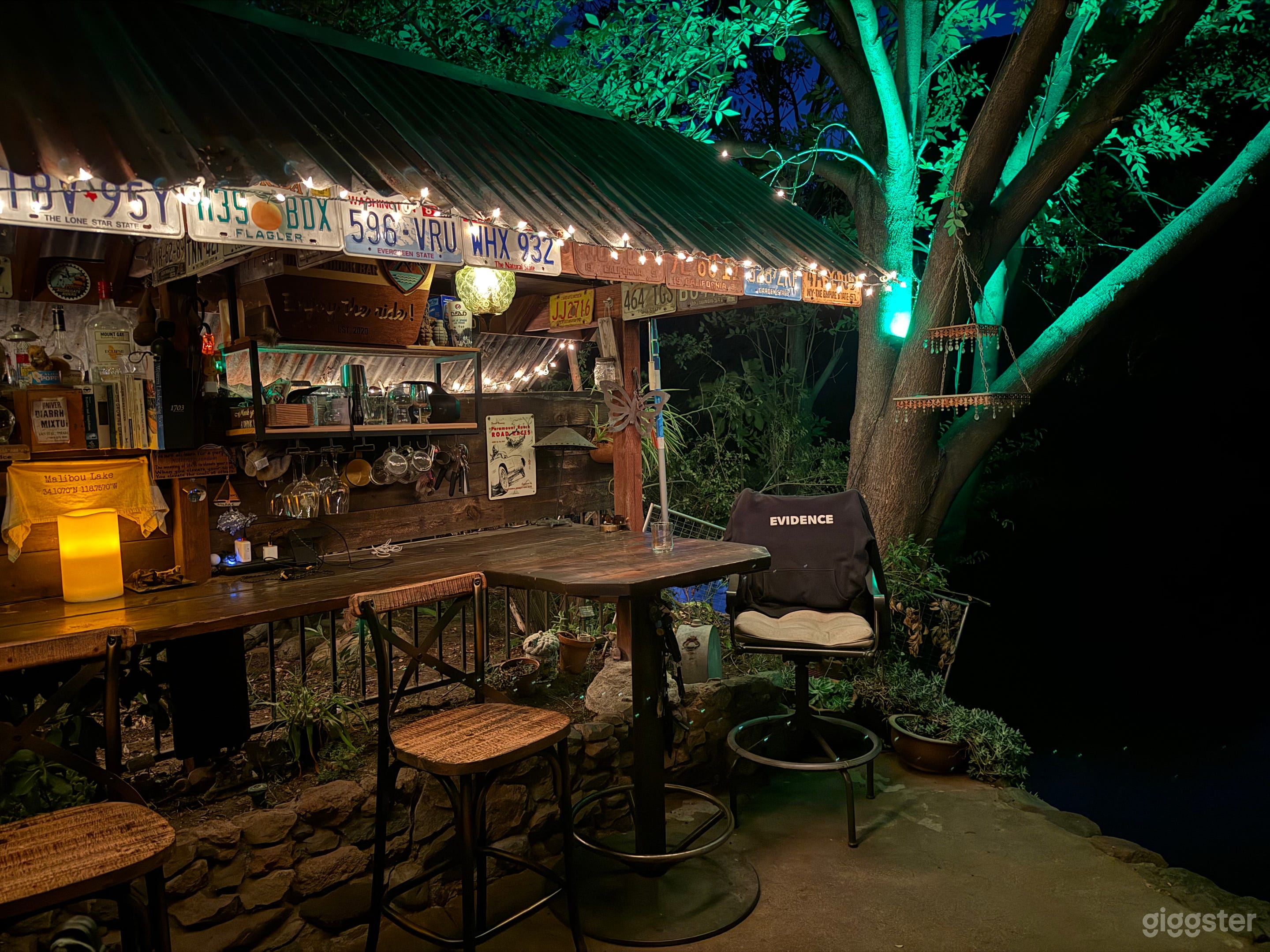 Rustic Lake House & Dock Bar,  rope swing, mountain views. Photo 4
