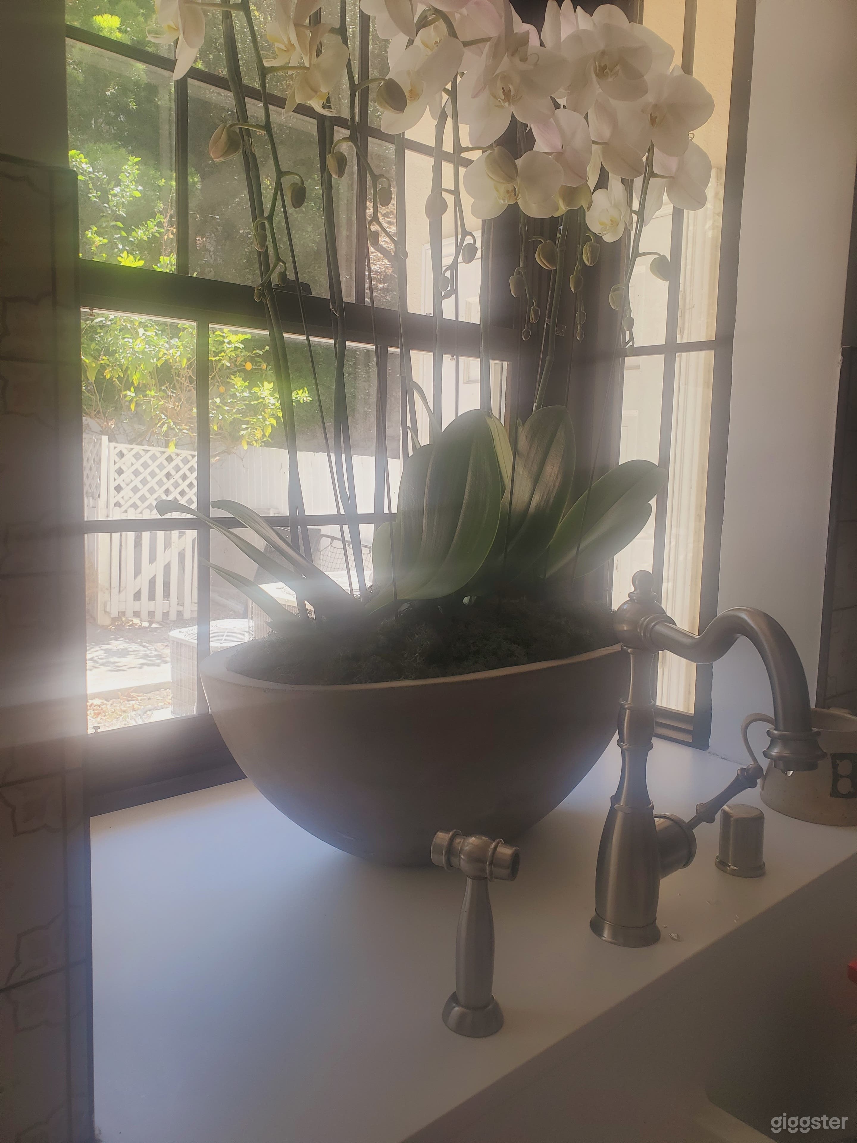 French style house  Photo 3