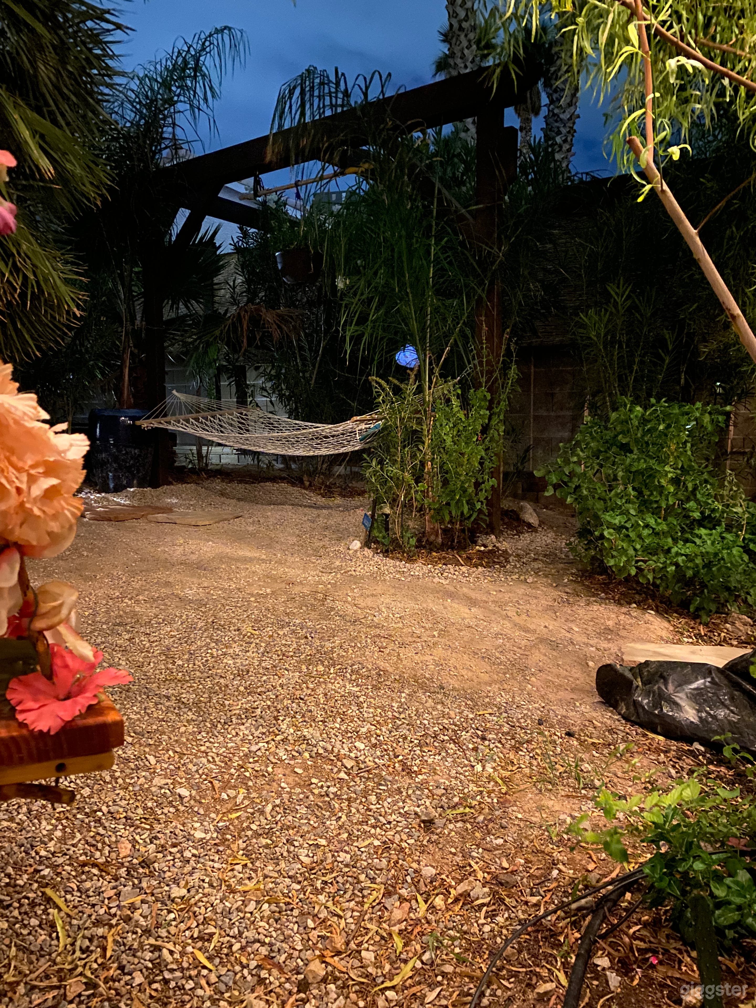 Backyard Oasis
Relaxing Hammock space