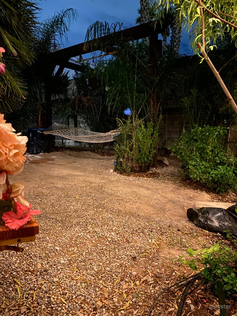  Backyard Oasis
Relaxing Hammock space 