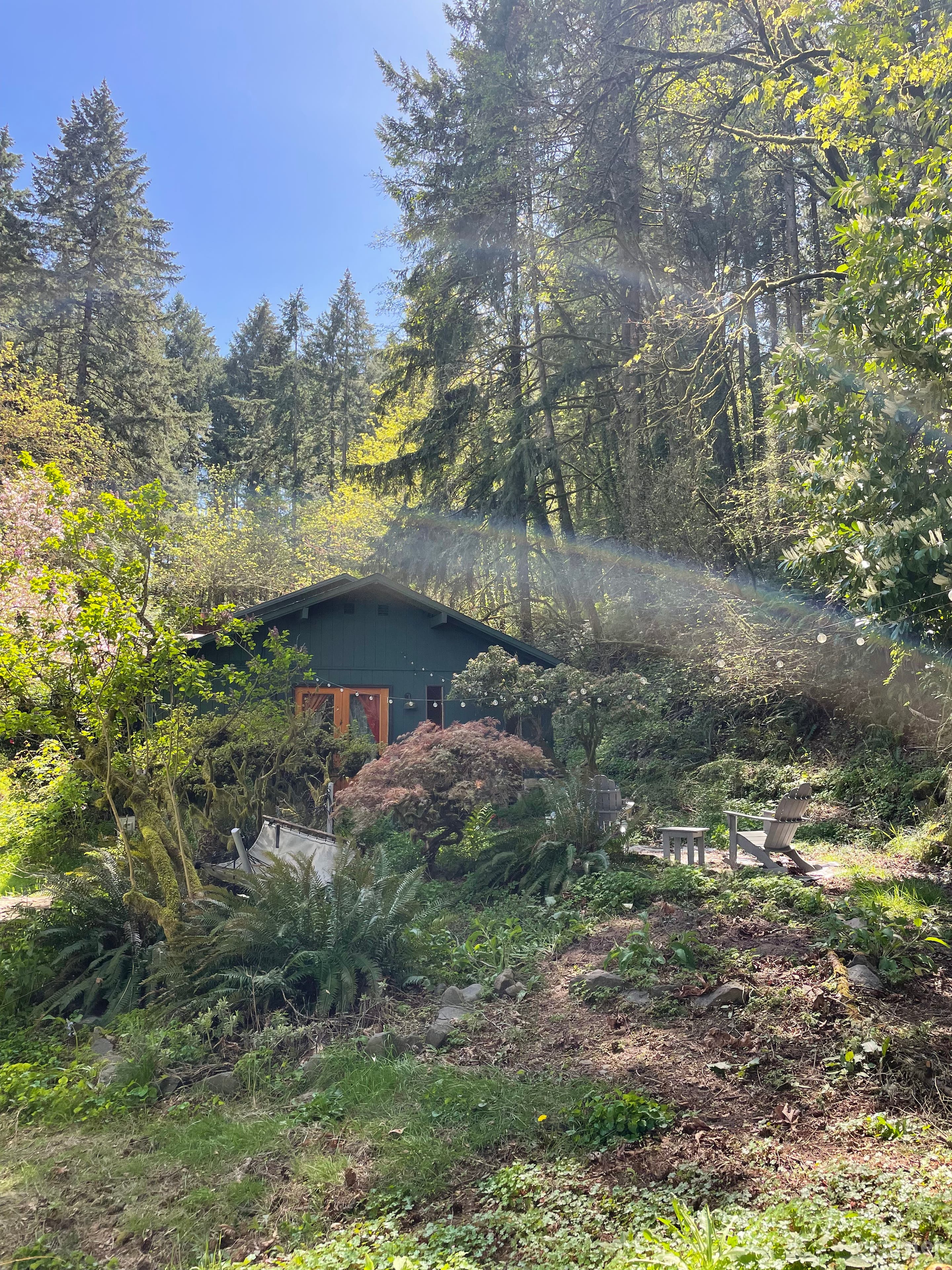 French doors from the side yard