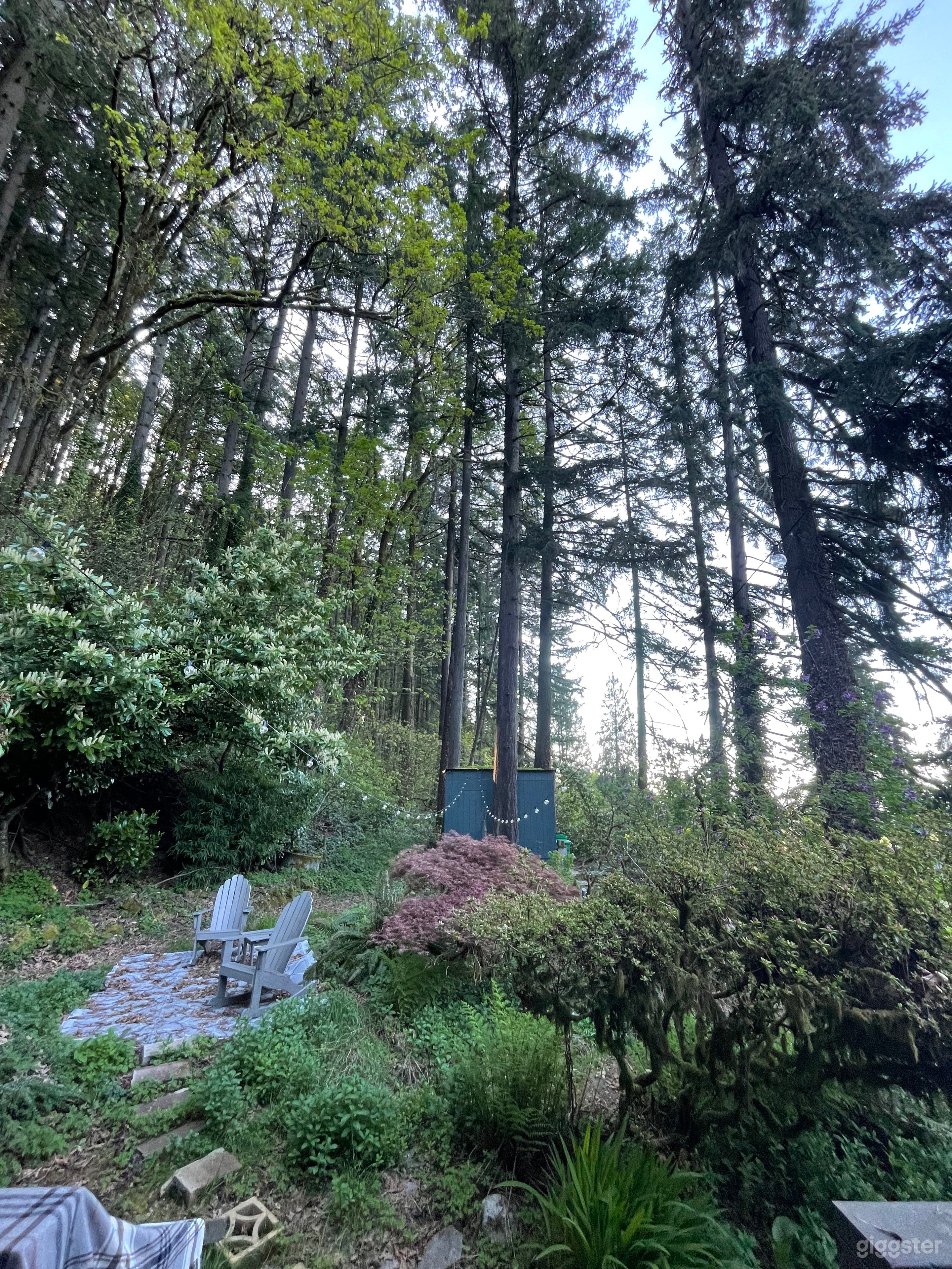 Tool shed from the side porch