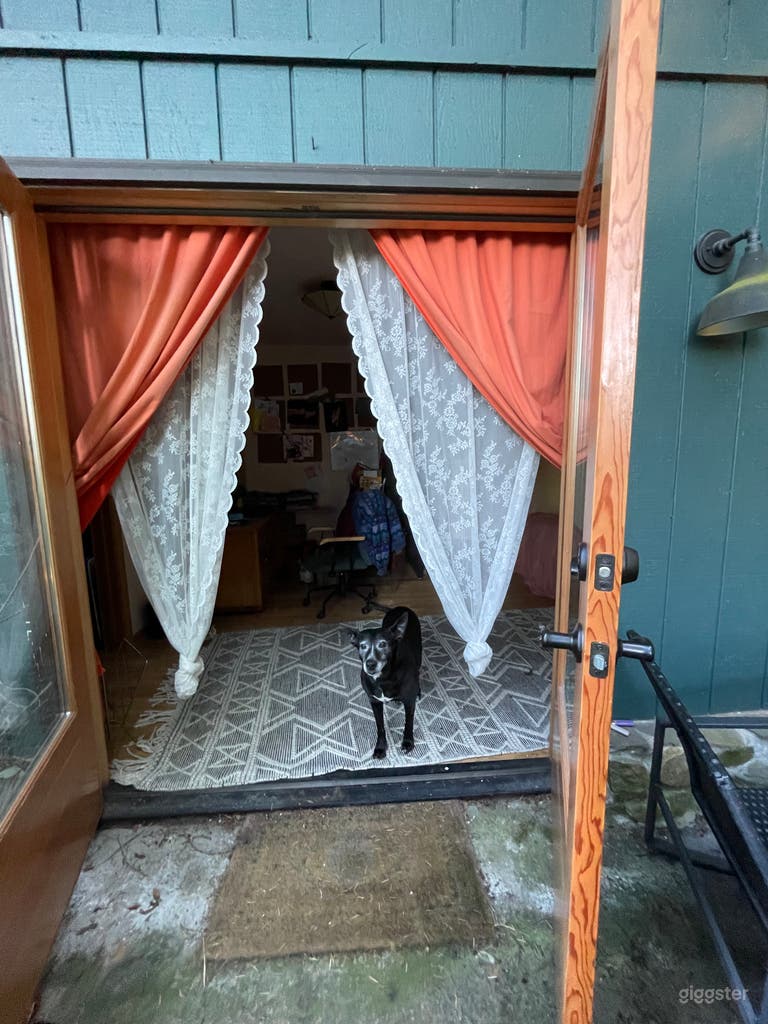  French doors on back porch 