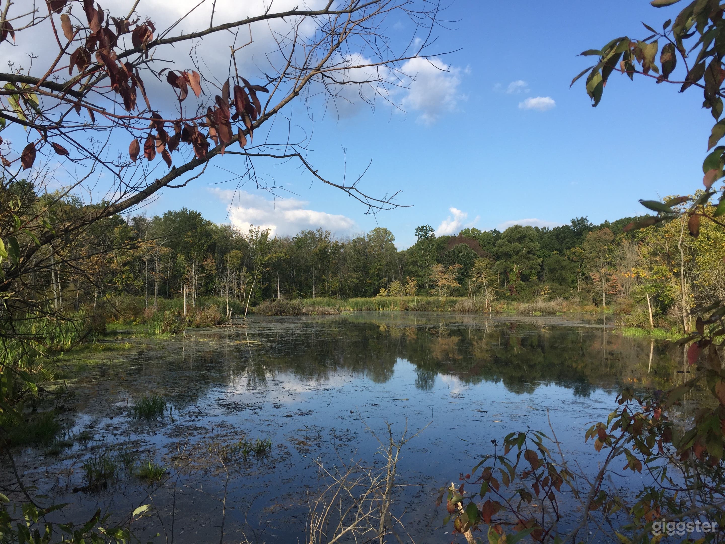 View from the island