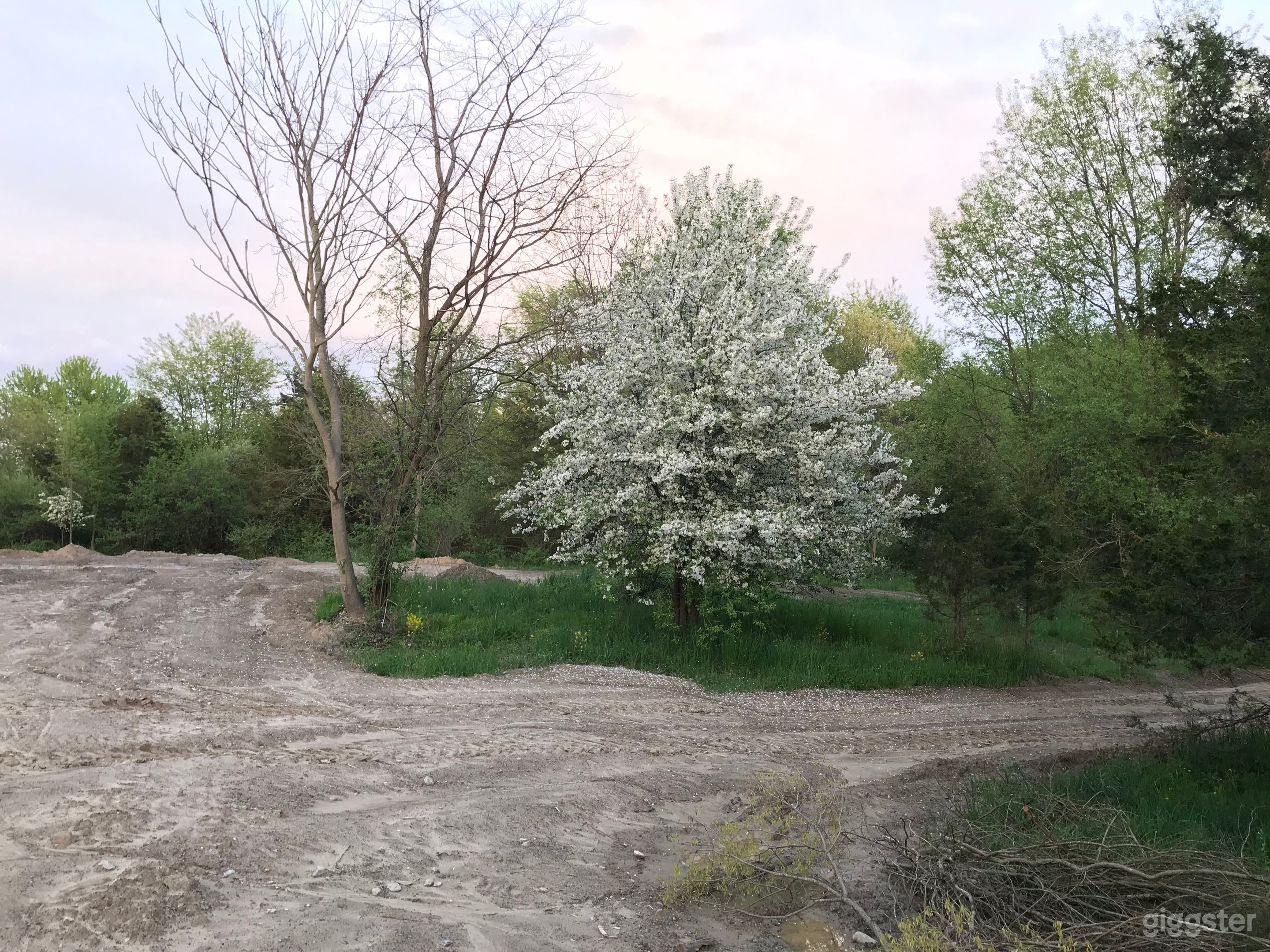 This is the area near the road where parking is ample.