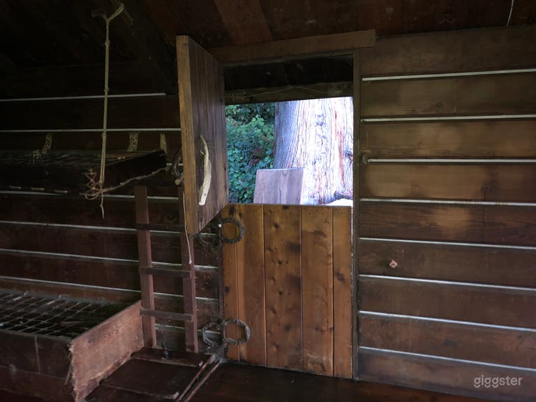  Rustic Hunting Cabin  